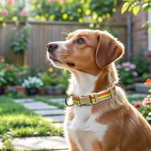  ybgp ˃e[vt p Lp iC ߉\ ^ ^ ^   D F JWA ʔN(x3)