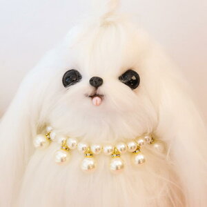 ybgplbNX L   `[J[ g 킢 p[  ߉\ y_g ^ ^ ʔN(x2)