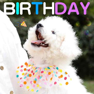 ペット用スタイ ドット柄 レース 襟飾り 首輪 韓国 犬 猫 小型犬 中型犬 ピンク パープル かわいい 誕生日 クリスマス 記念日 イベント(x2)