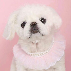 Lpi ybgp  `[J[ XJ[t [X bV 킢  ^ ^ tďH~p sN p[  t(x2)