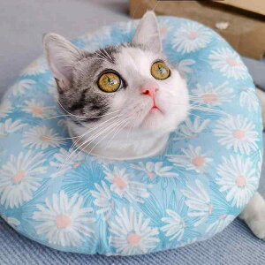 GUxXJ[  L \tg rߖh~ 킢 ybgp ی lbNی _炩 h[ic^ ^ ^ XS S M L XL J[gD[(x5)