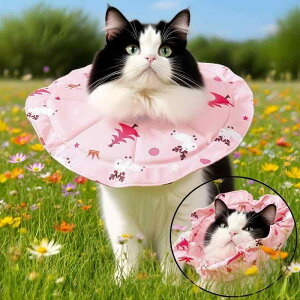 GUxXJ[ Lp ߉\ rߖh~ ݖh~ ybgp _炩 |GXe u[ sN CG[ S M L(x2)