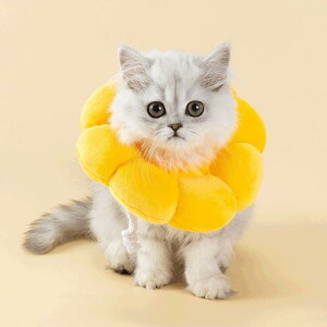 �L ��� �G���U�x�X�J���[ �\�t�g �� ��� �����ی� �r�ߖh�~ ���ݖh�~ ���p�r �R�b�g���� �t�ďH�~ �f�j���X�^�C��