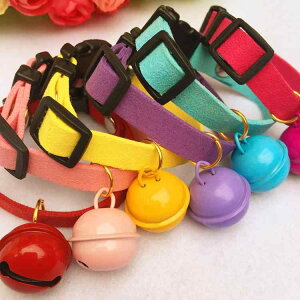  L fB[X ^ S xt XG[h q ETM ybgpi ubN sNn bh