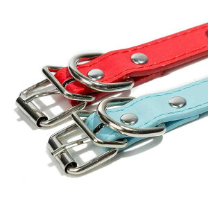  ybgp p ݂h~ B X^bY PUU[ ^ ^ ^ bh CG[ u[ ubN sN XJCu[ R[q[F(x10)