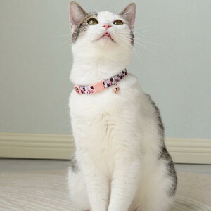  Lp p L? t ԕ lbN L lbNX `[J[ 킢  ybgpi ^