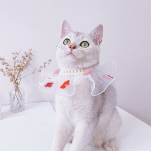  L  p ԕ [X  `[J[ 킢 X^C ʐ^ Be  |GXe     XS S M L XL