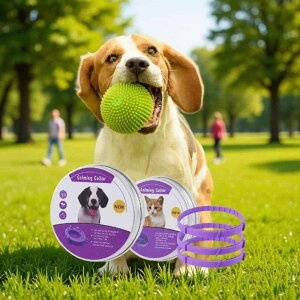  ybgp  L  ߉\ lbNX ANZT[  TPR J[g