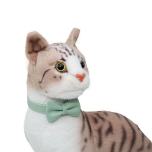  ybgp  Lp PUU[ lN^Ct pXeJ[ ^ ^ XS S M L ߉\ 킢  U o