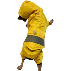 pCR[g ^ ^ l h h ˍޕt ybgpJ U u[ ubN bh CG[ _[Nbh  |GXe JWA