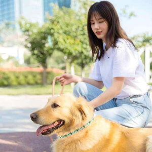   L 쏜   m~ _j V~   U o 䖃sN ȏ?CG[ ʃO[ S M L(x5)