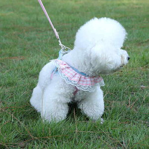  L n[lX [h Zbg |GXe ^ ^  bV ʋC U o [v  F sNn F  