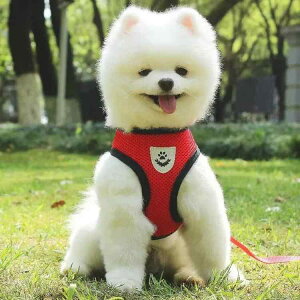 ybgp n[lX L ^ p [h xXg  [v U uO[ sNn u[ IW p[v |GXe(x2)