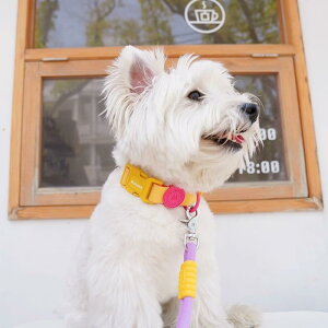 pi    [v ^ ^ ^ iC h Up op IW CG[ O[ O[