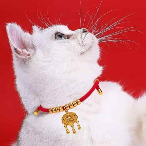  fB[X ybgp L  t  `[J[ S[h qD  TCY\ 킢 啗