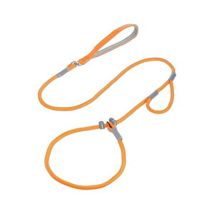 p[h P[v ^ ^ Pp[h Lk[h |GXe 14m IW sN ubN bh CG[ O[