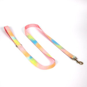 p ^ ^ efB Č C{[ Of[V tFCNU[ pXeJ[   U   킢