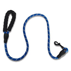  [h [v p LkȂ   iC ϖ Up ^ ^ ^   