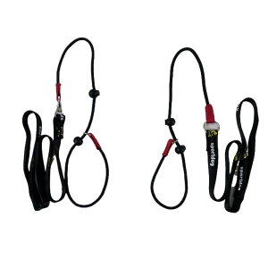 p[h ^ ^ Pp Lk[h U ܂Ȃ 