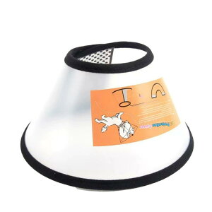 GUxXJ[ Lp ybgp rߖh~ ݖh~ \tg y ʋC \