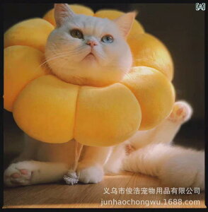   L GUxXJ[ ybg Č Ђ܂ Rbg CG[ Jt XS S M L lG ʔN(x2)