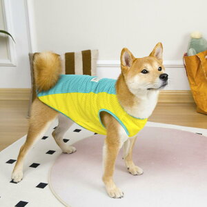 p xXg ^ S[fgo[ uh[ Č |GXe JWA O[ p[v bh