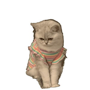 ybg fB[X L  wS 킢 L t ڐG⊴ ^ ʋC t C{[J[