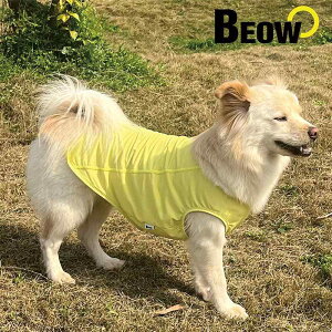 pEFA  hbOEFA wS    ʋC Lk u[ p[v CG[ ^ ^ ^ |GXe