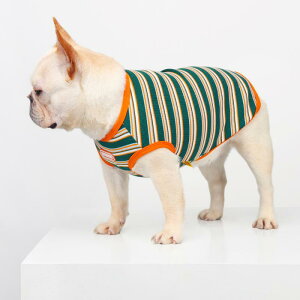   ^p t`uhbO pO ViEU[ ybg t xXg 킢 {[_[  ig (x6)