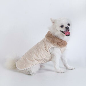 ybg H~ ^ L  xXg ViEU[ R[M[  JWA sN O[ L S M L XL