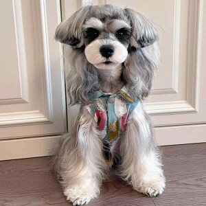 ybgp  fj xXg ^ ^ ^   ig 킢  }`[Y efB rV t[[ R[M[