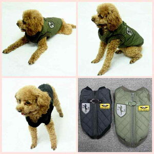 ybg ~pnb TCY [vt ^/^/^ h 킢 ubN/O[