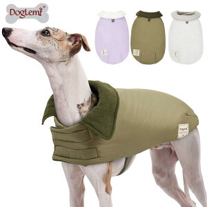 hbOEFA p ^ ^ h h ۉ h hbO  xXg   J[L O[(x5)