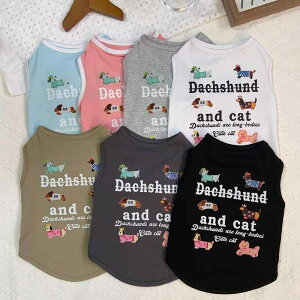  ėp m[X[uTVc 킢 efB ViEU[ rV [NV[ S Rbg wS ^Ngbv  O[ F (x5)