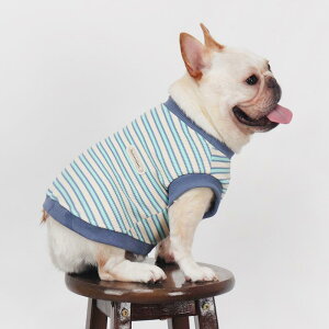 ybg ^p pwJxXg Ȑ tH u[ bh ViEU[ efB t`uhbO R[M[(x6)