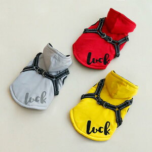 ybg   ~p ȓ xXg g h ˃Xgbvt n[lX ̌^ 