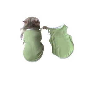 ybgp^Ngbv L   t ڐG⊴ 킢 іh~  pXeJ[ ^ ^