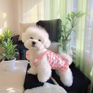  hbOEFA t ybgp s[X  L p x? 킢 ^ eB[Jbvv[h rVt[[ }`[Y(x2)