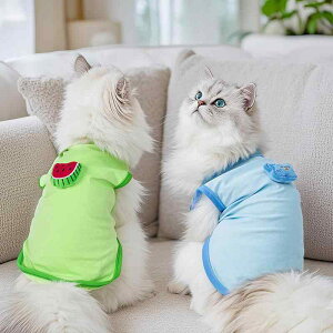 ybg fB[X L ^  xXg |GXe 킢 Ck lR O[ u[ x[W XXS XS S M L XL