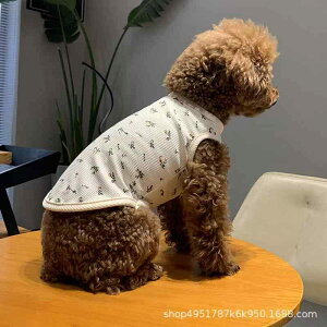 ybgp   ԕ m[X[u `[ L  p efBxA XS S M L XL  |GXe JWA ʋC