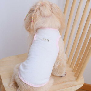 ybg  L ^ ^ ^ xXg 킢 JWA ё΍ |GXe AC{[ u[ sN CG[