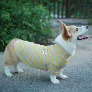 hbOEFA p Lp wS TVc XgCv ؂ւ ybg ^ ^ CG[ O[  Rbg JWA(x10)