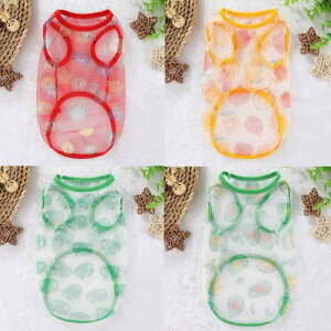 ybgp  t  L  bV xXg ʋC m[X[u EFA ^ ^ ^ 킢 O[ A{Jh bh xA CG[ (x2)