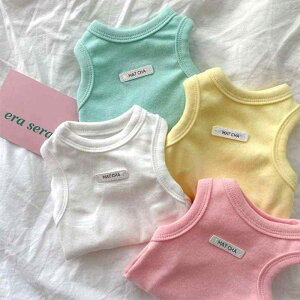 ybgp^Ngbv ^ L  t  pXeJ[ efBxA rVt[[ sN CG[ O[