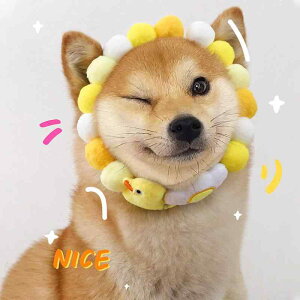   L ybgp Č R[M[ pO efBxA 킢 J[gD[ Jt LfB{[ a LO ʐ^Be