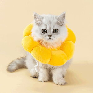  L p GUxXJ[ \tg y ʋC zԕ 킢 ybgpi Lp p XS S M L Rbg