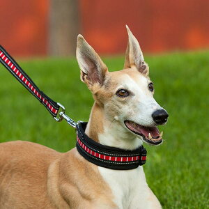  ybgp p Lp ߉\ Ԕ U o ig ^ ^ ^ iC u[ bh O[