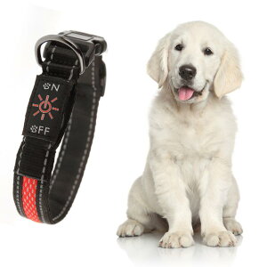  p bV ˃XgCv  Up ^ ^ |GXe bh O[ u[ ʔN