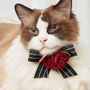 ybg  lbNX  L ybgpi ANZT[ 啗 z I[V[Y 킢 (x2)