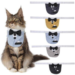 ybg X^C p Lp 悾ꂩ  o_i  tH[} `FbN Rbg |GXe O[ ubN CG[ u[ lCr[(x5)